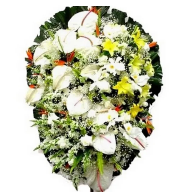 Coroa de Flor Painite
